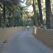 Al Ain Oasis alley